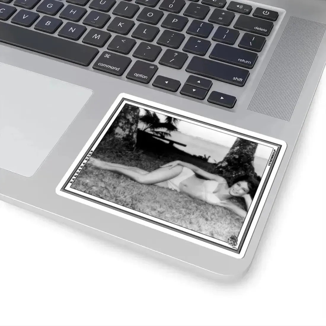 Barbara Eden #07 (Vintage Female Icon) STICKER Vinyl Kiss-Cut Decal - The Sticker Space