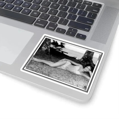 Barbara Eden #07 (Vintage Female Icon) STICKER Vinyl Kiss-Cut Decal - The Sticker Space