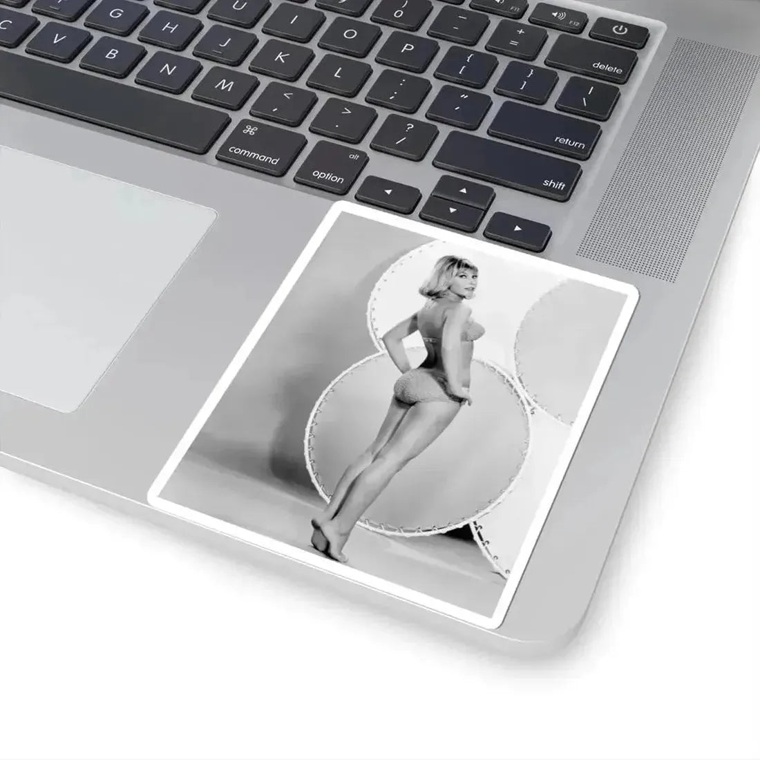 Barbara Eden #8 (Vintage Female Icon) STICKER Vinyl Kiss-Cut Decal - The Sticker Space