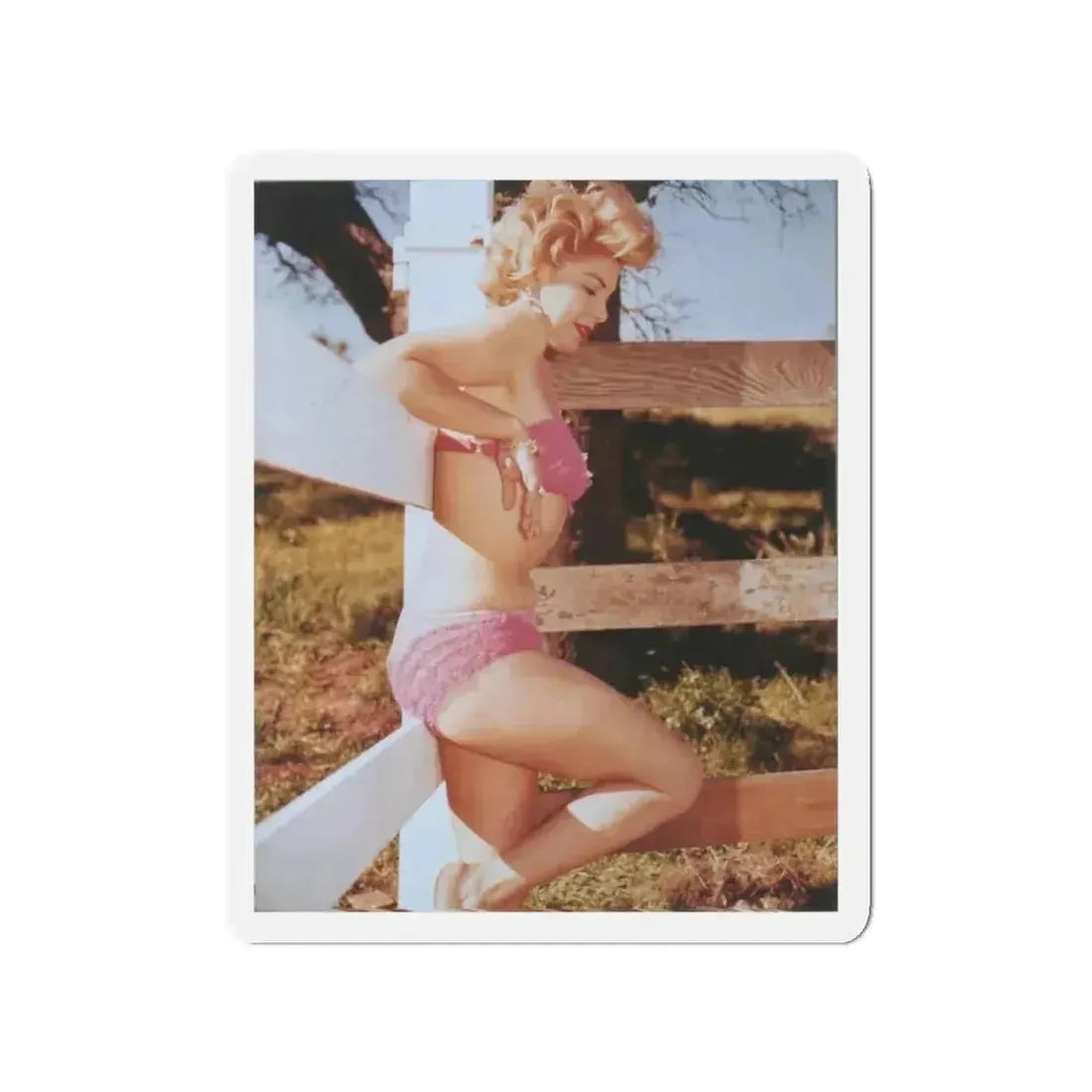 Barbara Nichols #32 (Vintage Female Icon) Refrigerator Magnet 3 Inch Die-Cut - The Sticker Space