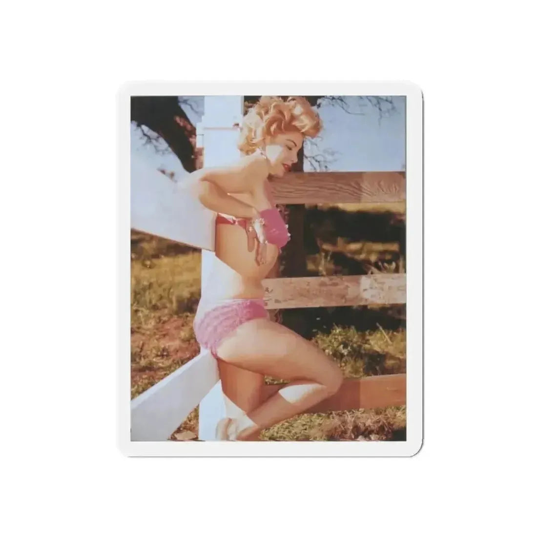 Barbara Nichols #32 (Vintage Female Icon) Refrigerator Magnet - The Sticker Space