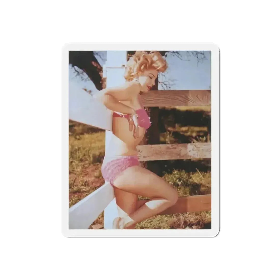 Barbara Nichols #32 (Vintage Female Icon) Refrigerator Magnet - The Sticker Space