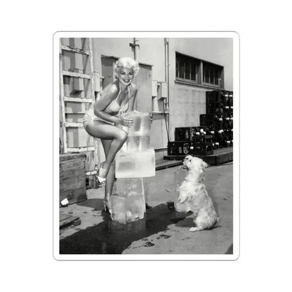 Barbara Nichols #441 (Vintage Female Icon) STICKER Vinyl Kiss-Cut Decal 2 Inch White - The Sticker Space