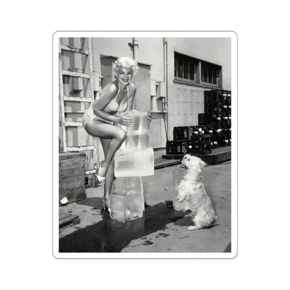 Barbara Nichols #441 (Vintage Female Icon) STICKER Vinyl Kiss-Cut Decal 3 Inch White - The Sticker Space