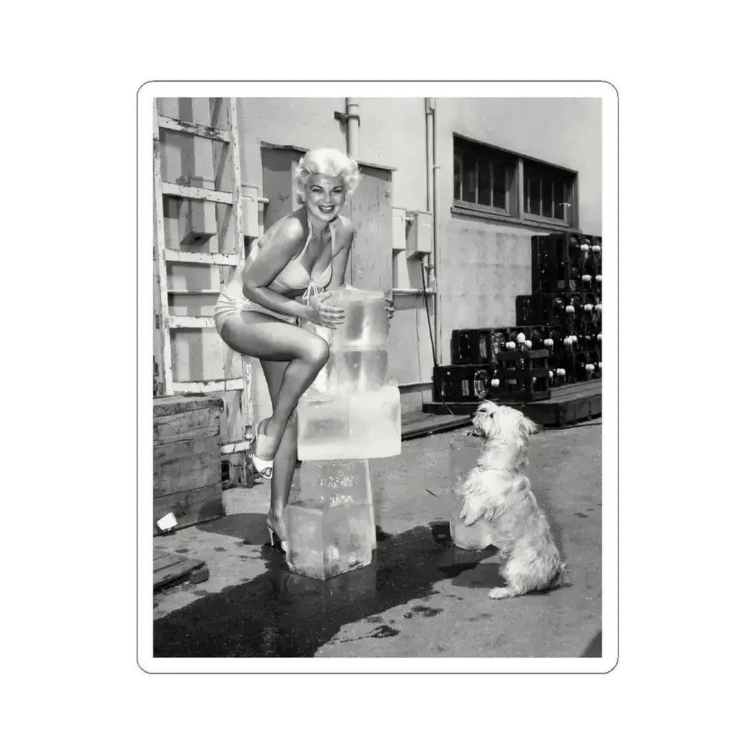 Barbara Nichols #441 (Vintage Female Icon) STICKER Vinyl Kiss-Cut Decal 4 Inch White - The Sticker Space