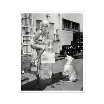 Barbara Nichols #441 (Vintage Female Icon) STICKER Vinyl Kiss-Cut Decal 4 Inch White - The Sticker Space