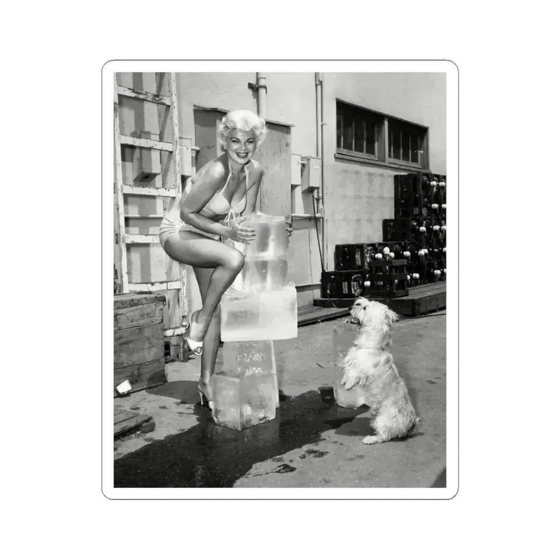 Barbara Nichols #441 (Vintage Female Icon) STICKER Vinyl Kiss-Cut Decal 6 Inch White - The Sticker Space