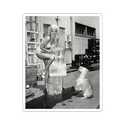 Barbara Nichols #441 (Vintage Female Icon) STICKER Vinyl Kiss-Cut Decal 6 Inch White - The Sticker Space