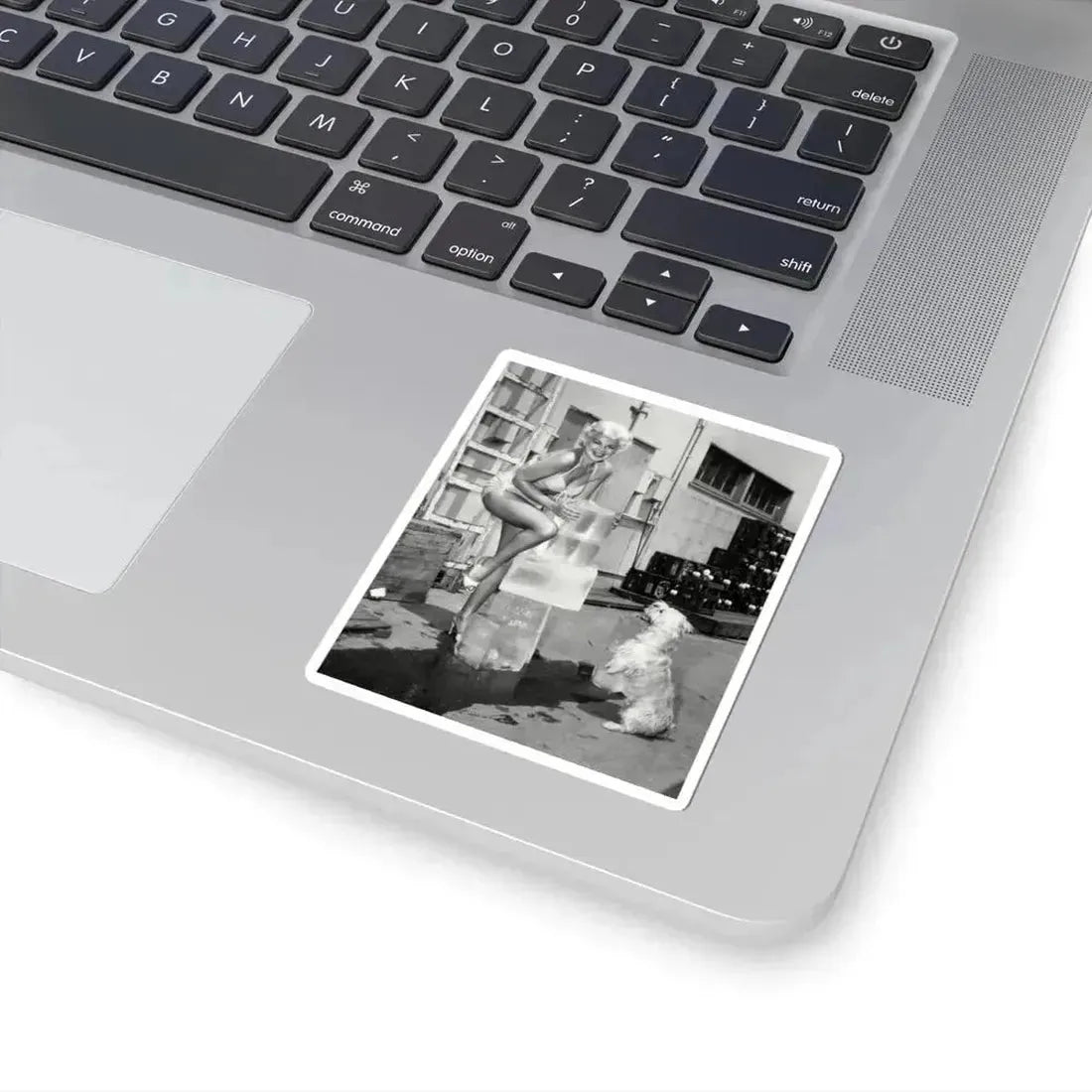 Barbara Nichols #441 (Vintage Female Icon) STICKER Vinyl Kiss-Cut Decal - The Sticker Space