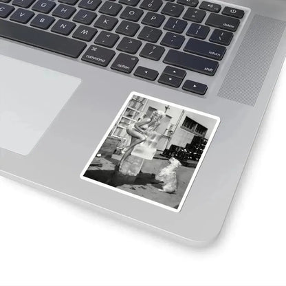 Barbara Nichols #441 (Vintage Female Icon) STICKER Vinyl Kiss-Cut Decal - The Sticker Space