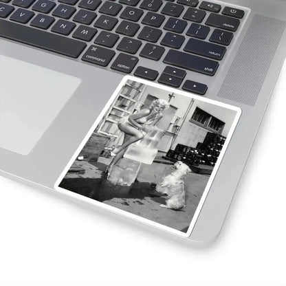 Barbara Nichols #441 (Vintage Female Icon) STICKER Vinyl Kiss-Cut Decal - The Sticker Space