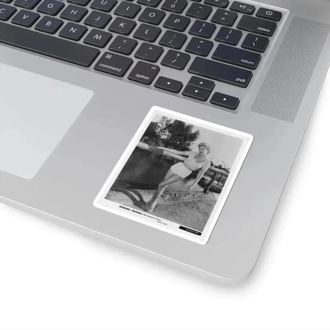 Barbara Nichols #443 (Vintage Female Icon) STICKER Vinyl Kiss-Cut Decal - The Sticker Space