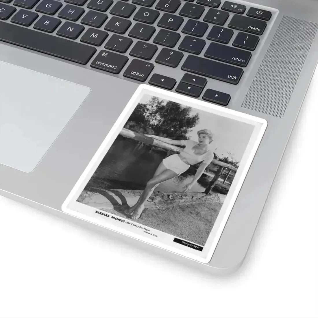 Barbara Nichols #443 (Vintage Female Icon) STICKER Vinyl Kiss-Cut Decal - The Sticker Space