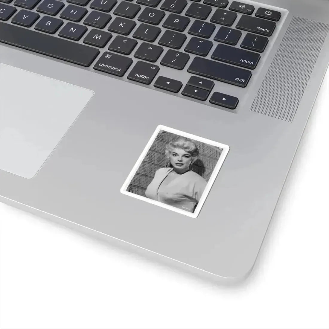 Barbara Nichols #462 (Vintage Female Icon) STICKER Vinyl Kiss-Cut Decal - The Sticker Space