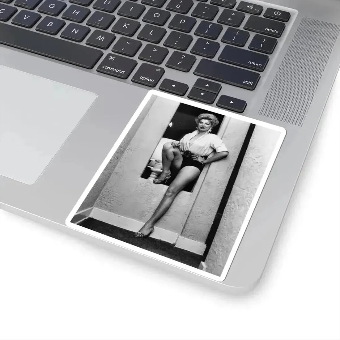 Barbara Nichols #463 (Vintage Female Icon) STICKER Vinyl Kiss-Cut Decal - The Sticker Space