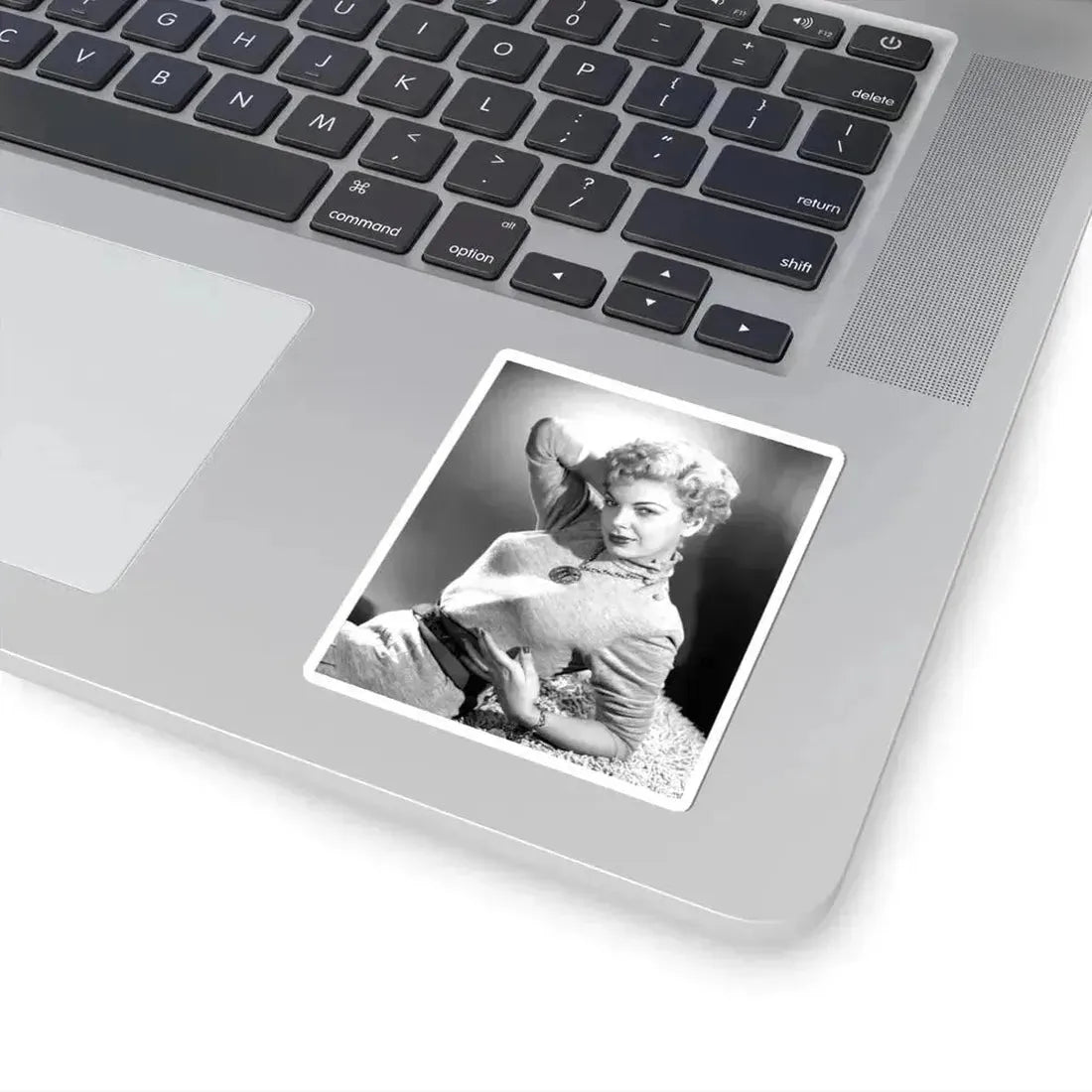 Barbara Nichols #464 (Vintage Female Icon) STICKER Vinyl Kiss-Cut Decal - The Sticker Space