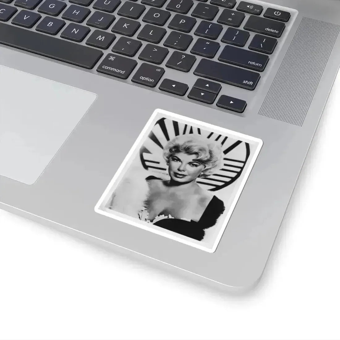 Barbara Nichols #478 (Vintage Female Icon) STICKER Vinyl Kiss-Cut Decal - The Sticker Space