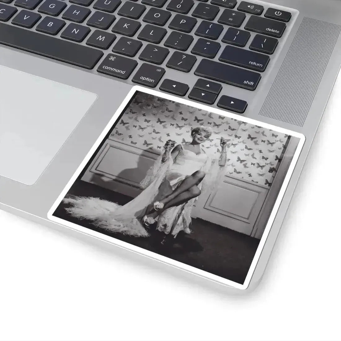 Barbara Nichols #479 (Vintage Female Icon) STICKER Vinyl Kiss-Cut Decal - The Sticker Space