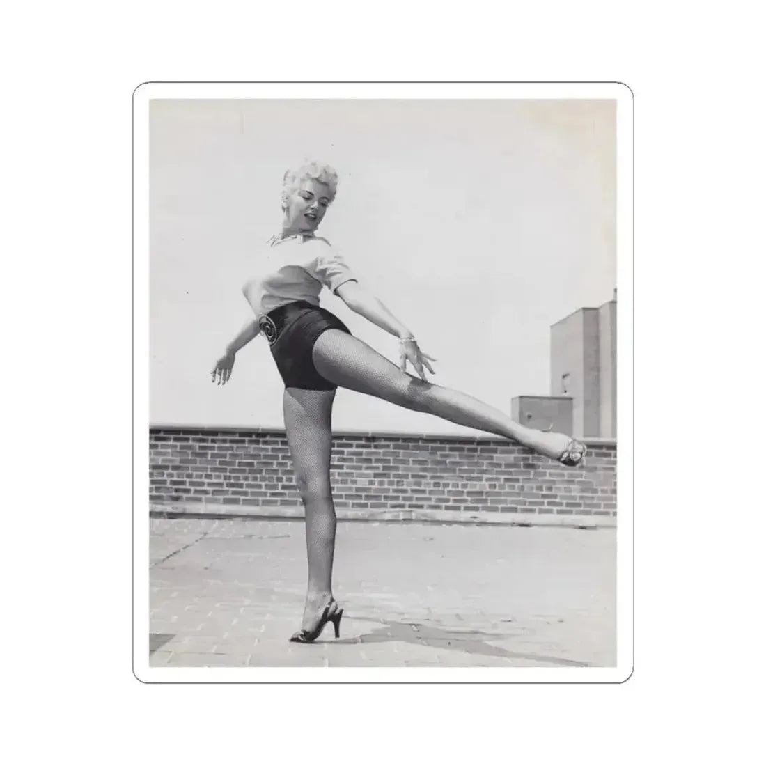 Barbara Nichols #508 (Vintage Female Icon) STICKER Vinyl Kiss-Cut Decal 3 Inch White - The Sticker Space