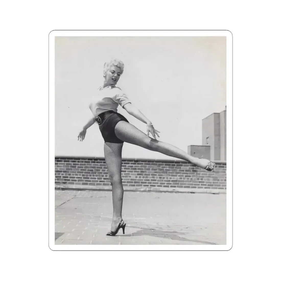 Barbara Nichols #508 (Vintage Female Icon) STICKER Vinyl Kiss-Cut Decal 6 Inch White - The Sticker Space