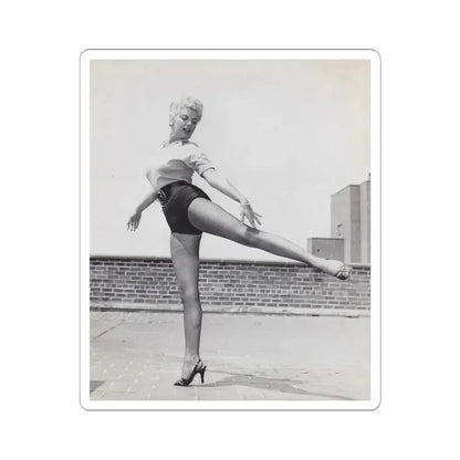 Barbara Nichols #508 (Vintage Female Icon) STICKER Vinyl Kiss-Cut Decal 6 Inch White - The Sticker Space