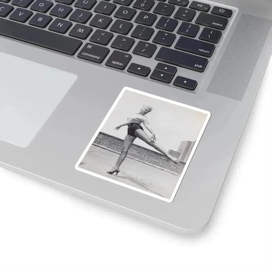 Barbara Nichols #508 (Vintage Female Icon) STICKER Vinyl Kiss-Cut Decal - The Sticker Space