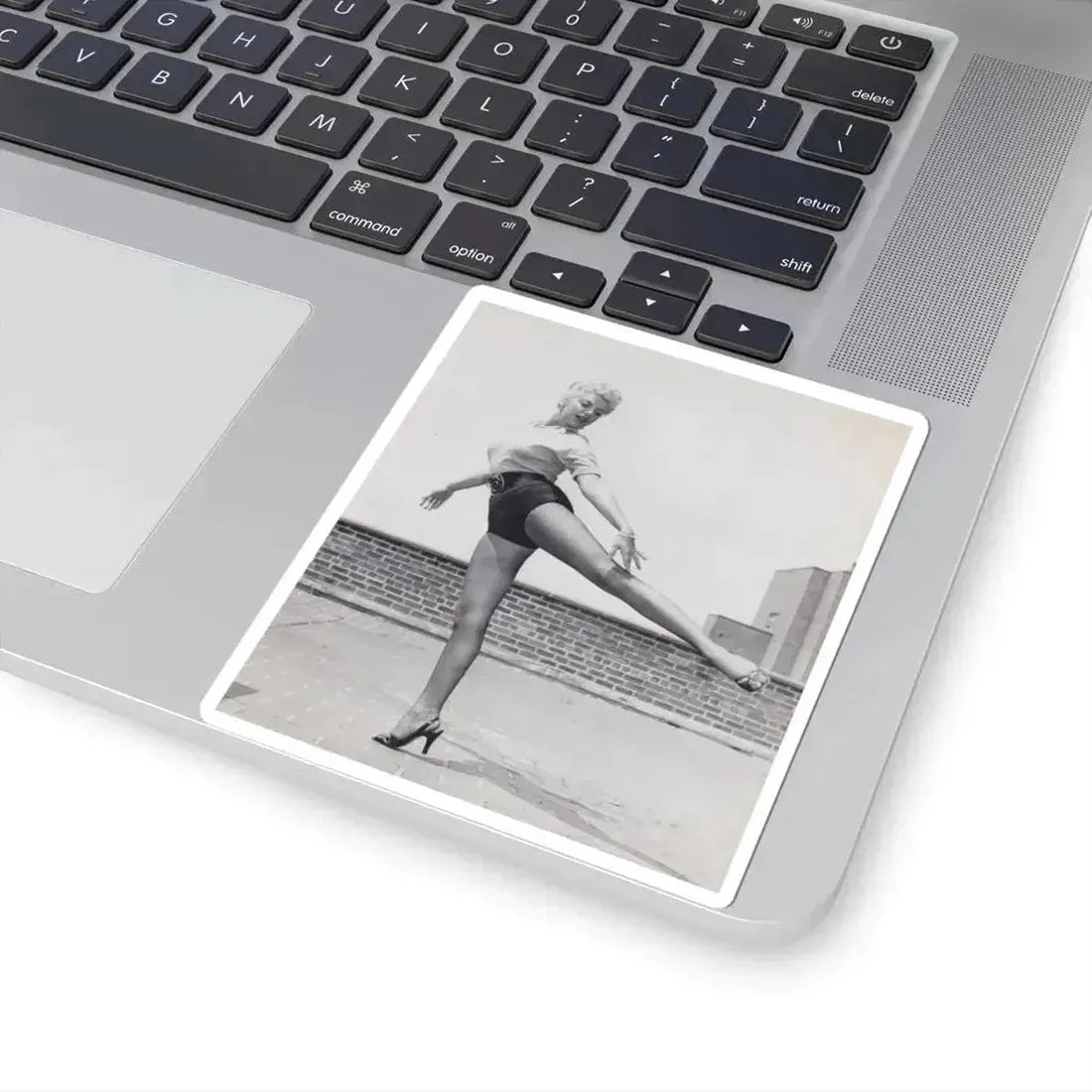 Barbara Nichols #508 (Vintage Female Icon) STICKER Vinyl Kiss-Cut Decal - The Sticker Space