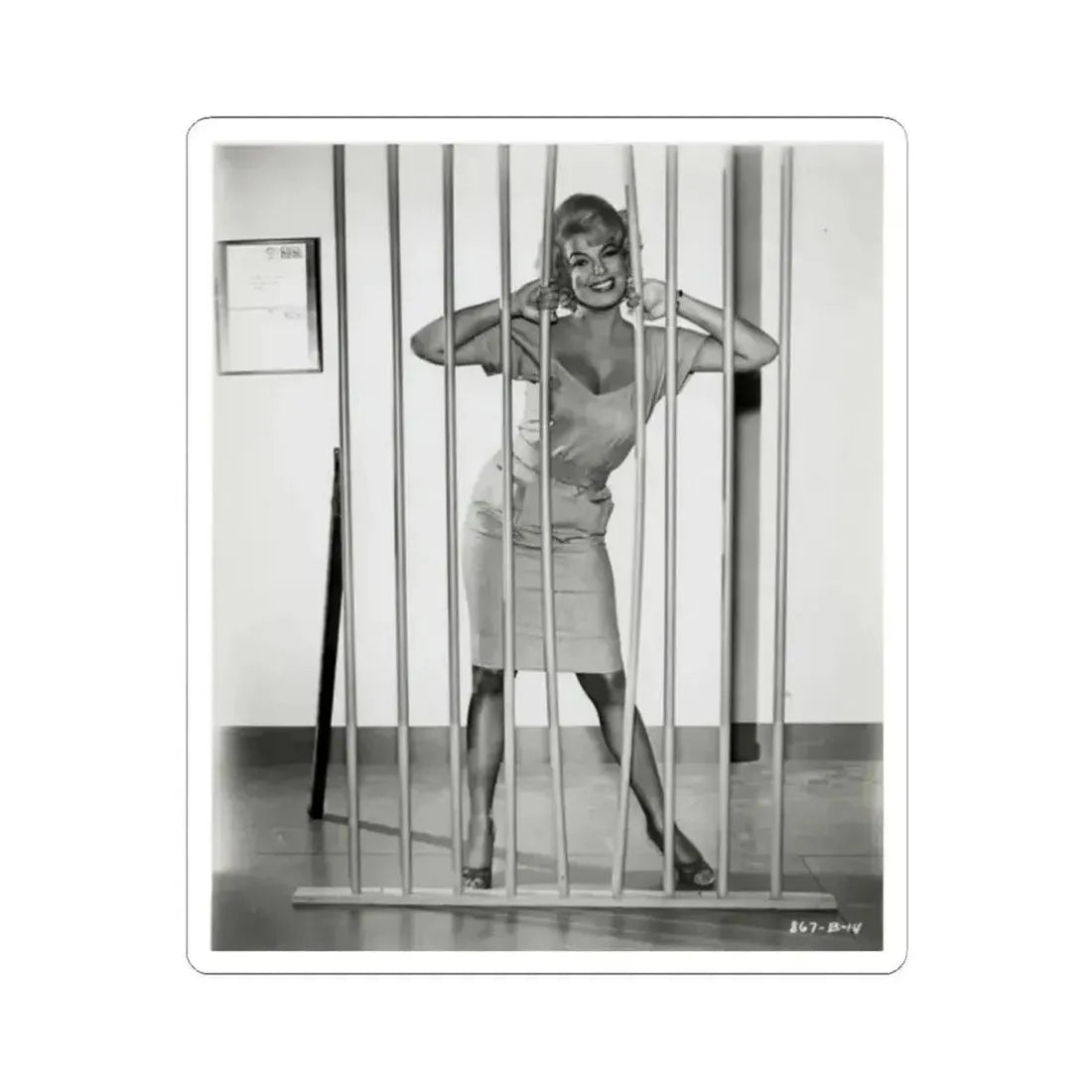 Barbara Nichols #510 (Vintage Female Icon) STICKER Vinyl Kiss-Cut Decal 2 Inch White - The Sticker Space