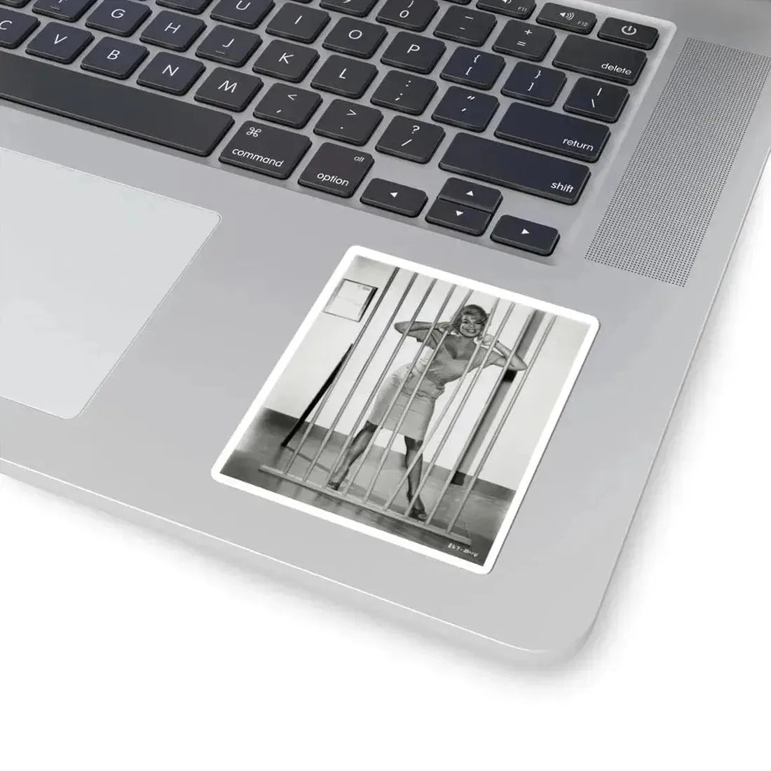 Barbara Nichols #510 (Vintage Female Icon) STICKER Vinyl Kiss-Cut Decal - The Sticker Space