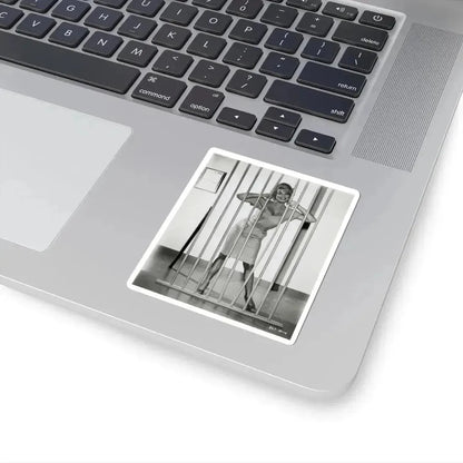 Barbara Nichols #510 (Vintage Female Icon) STICKER Vinyl Kiss-Cut Decal - The Sticker Space