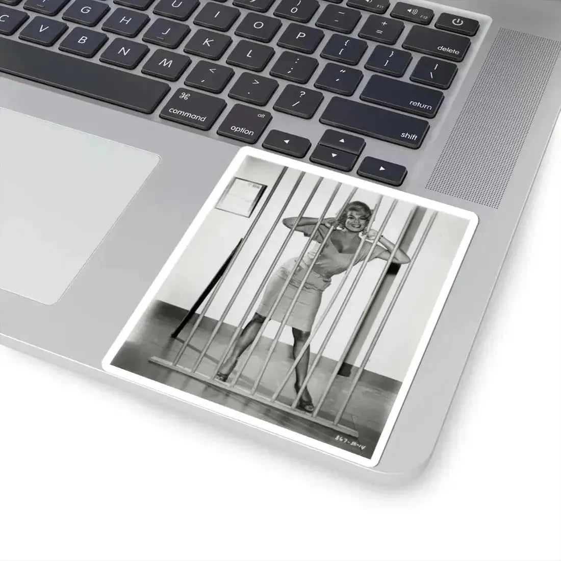 Barbara Nichols #510 (Vintage Female Icon) STICKER Vinyl Kiss-Cut Decal - The Sticker Space