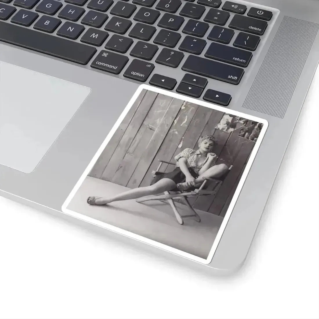 Barbara Nichols #516 (Vintage Female Icon) STICKER Vinyl Kiss-Cut Decal - The Sticker Space