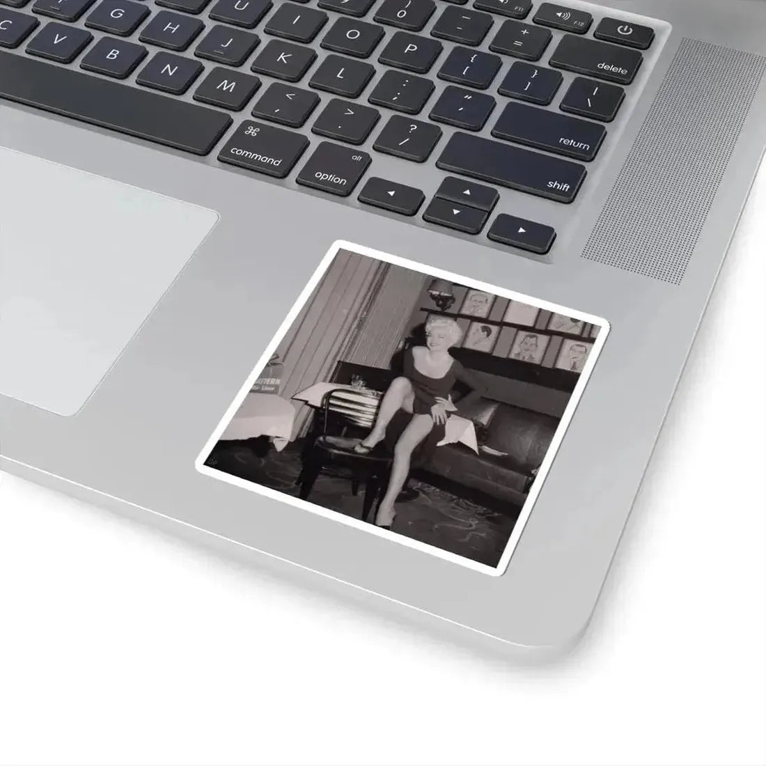 Barbara Nichols #541 (Vintage Female Icon) STICKER Vinyl Kiss-Cut Decal - The Sticker Space