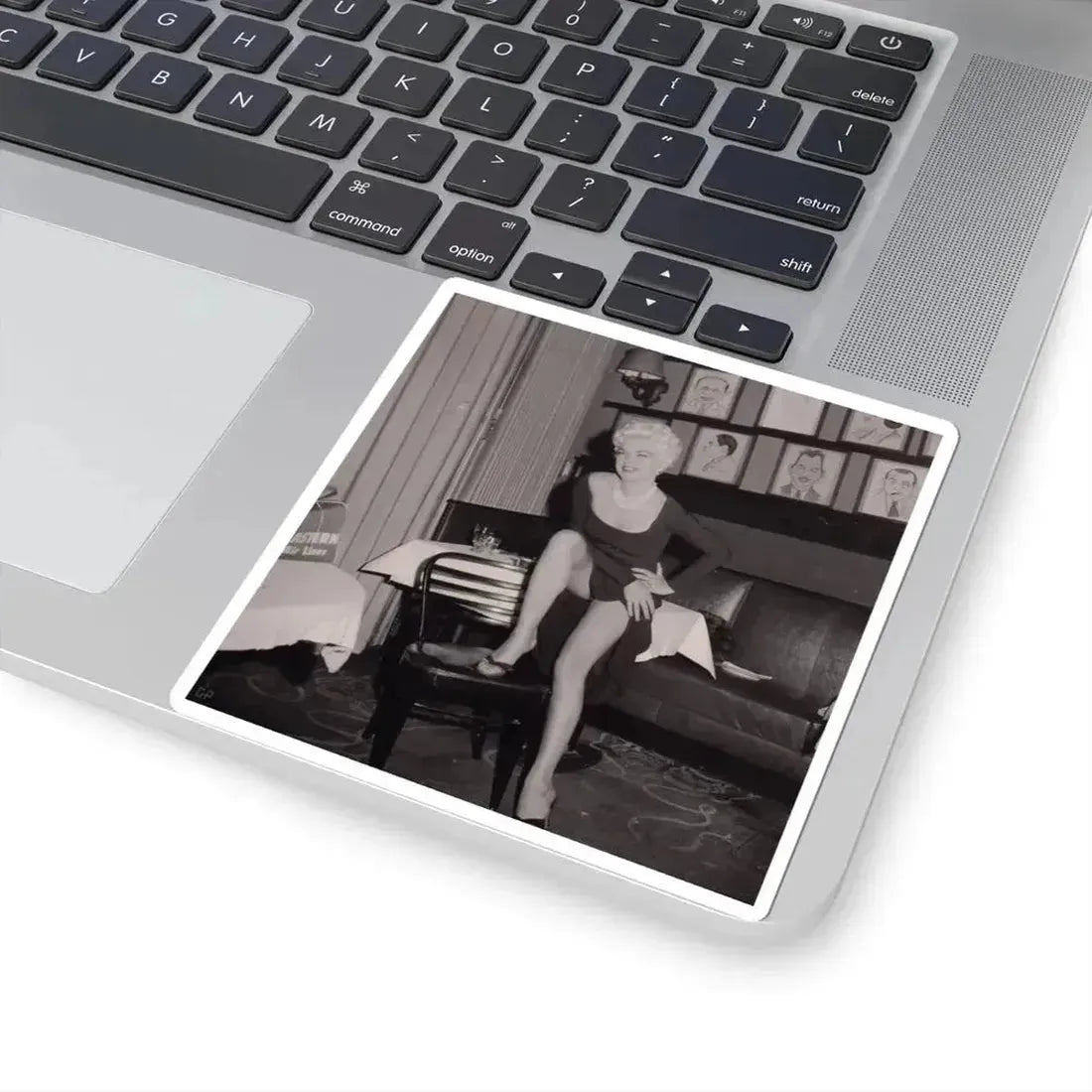 Barbara Nichols #541 (Vintage Female Icon) STICKER Vinyl Kiss-Cut Decal - The Sticker Space