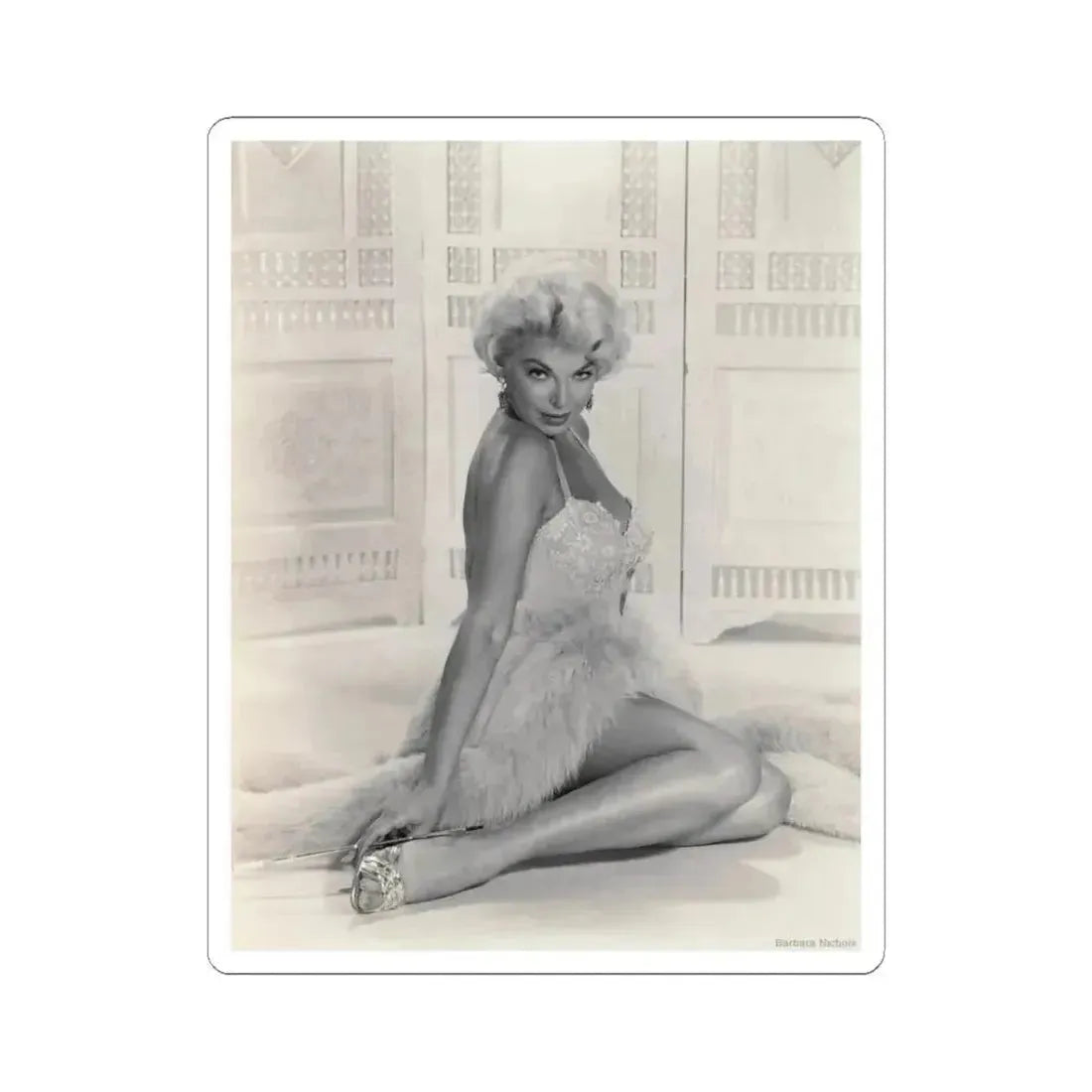 Barbara Nichols #542 (Vintage Female Icon) STICKER Vinyl Kiss-Cut Decal 3 Inch White - The Sticker Space