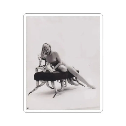 Barbara Nichols #543 (Vintage Female Icon) STICKER Vinyl Kiss-Cut Decal 6 Inch White - The Sticker Space