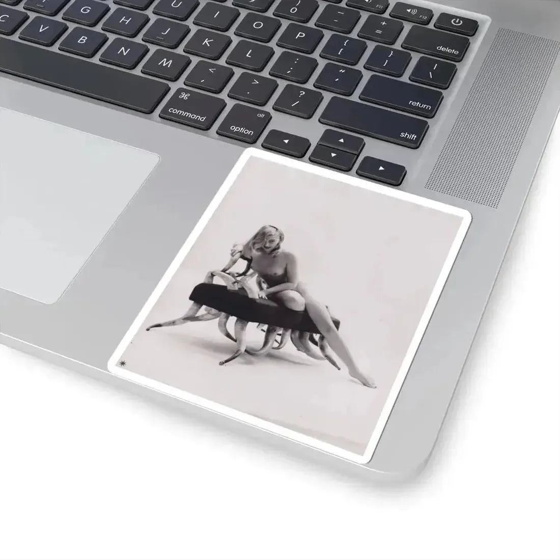 Barbara Nichols #543 (Vintage Female Icon) STICKER Vinyl Kiss-Cut Decal - The Sticker Space