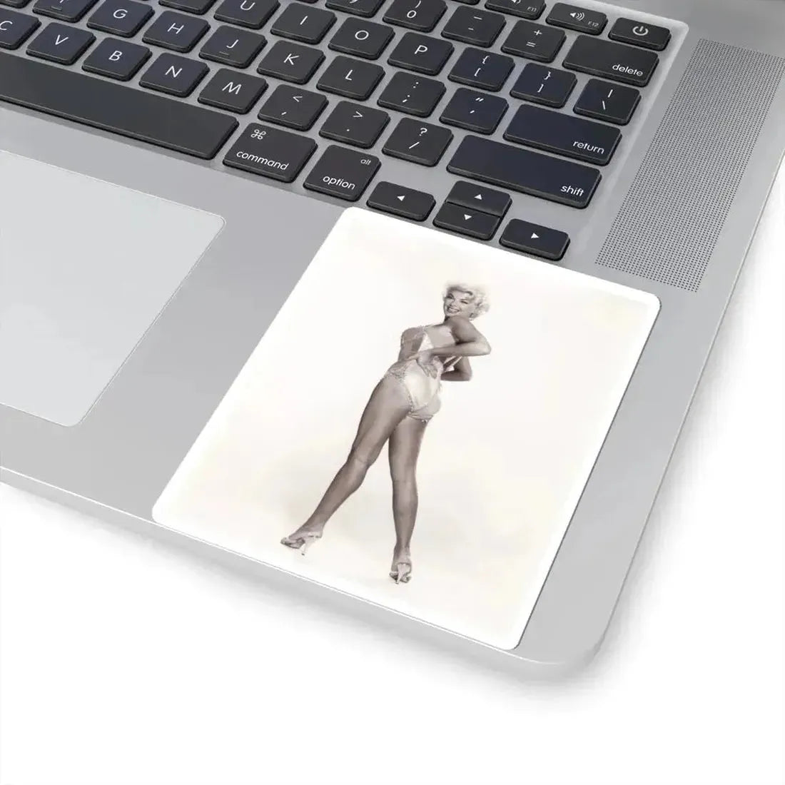 Barbara Nichols #549 (Vintage Female Icon) STICKER Vinyl Kiss-Cut Decal - The Sticker Space