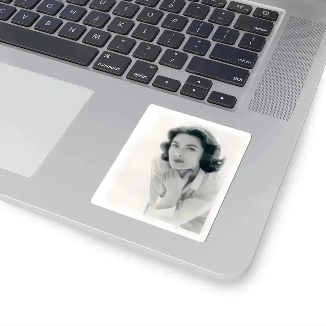 Barbara Rush #75 (Vintage Female Icon) STICKER Vinyl Kiss-Cut Decal - The Sticker Space