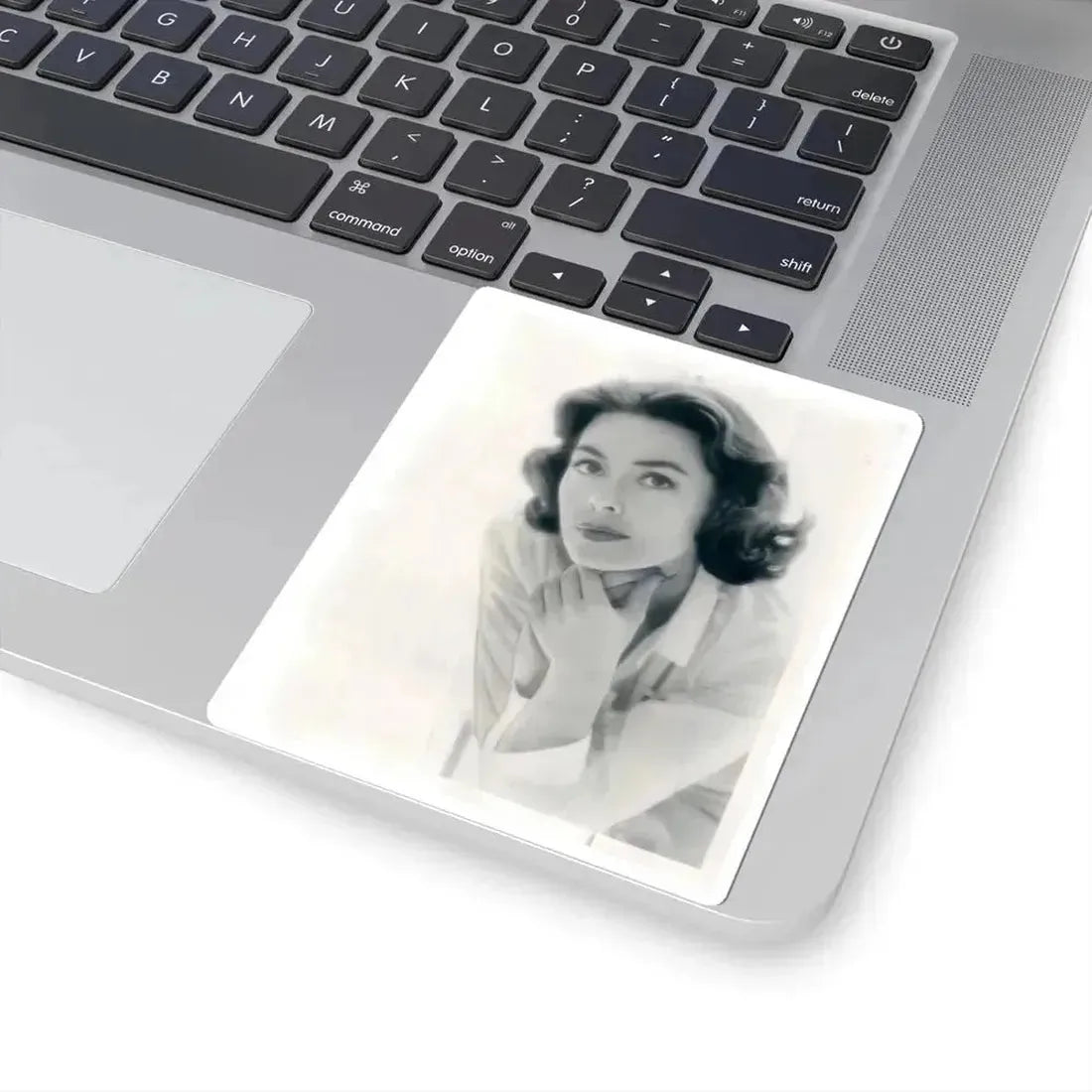 Barbara Rush #75 (Vintage Female Icon) STICKER Vinyl Kiss-Cut Decal - The Sticker Space