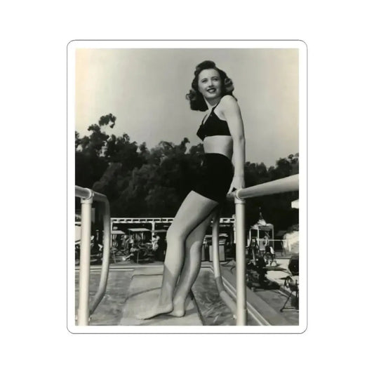 Barbara Stanwyck #163 (Vintage Female Icon) STICKER Vinyl Kiss-Cut Decal 2 Inch White - The Sticker Space