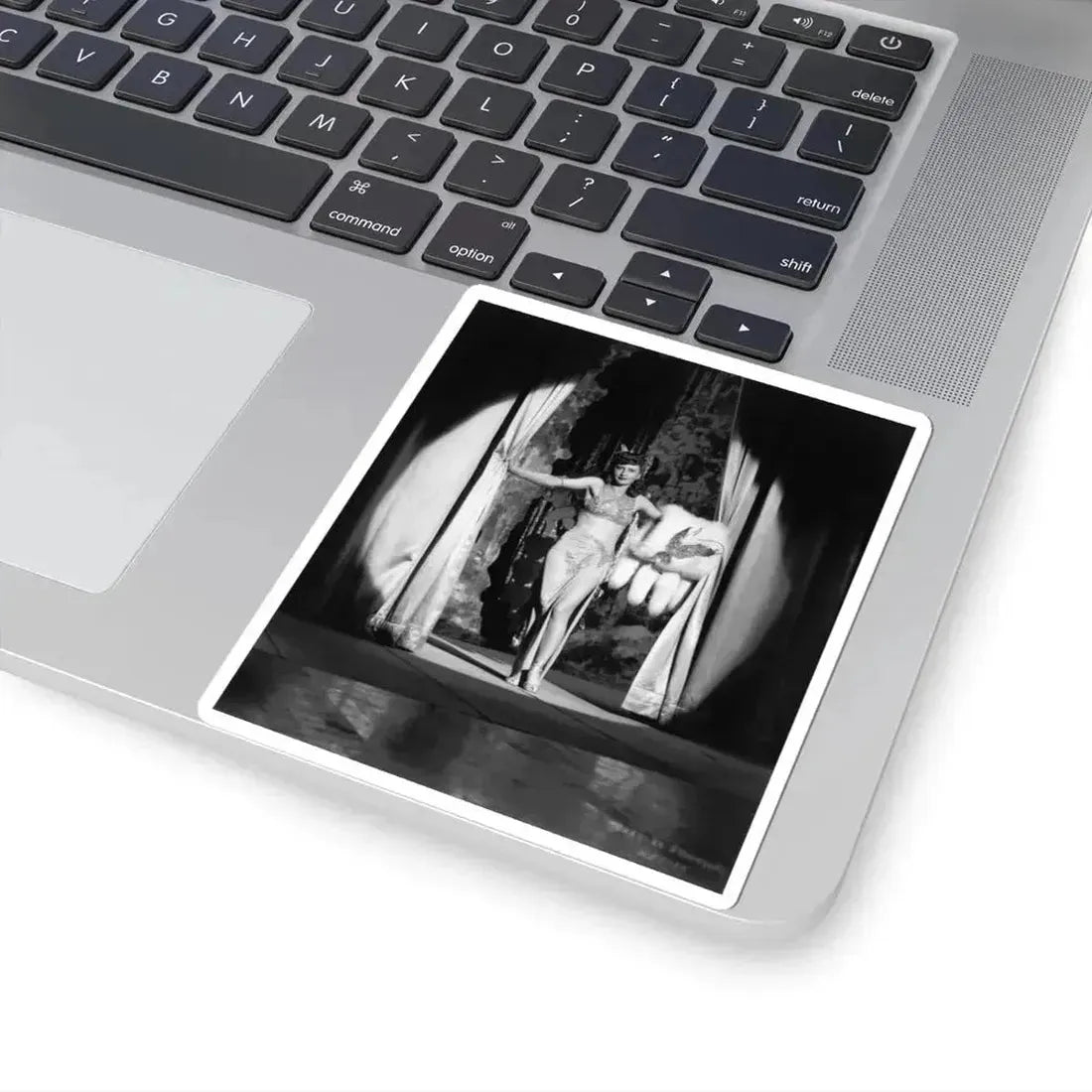 Barbara Stanwyck #178 (Vintage Female Icon) STICKER Vinyl Kiss-Cut Decal - The Sticker Space