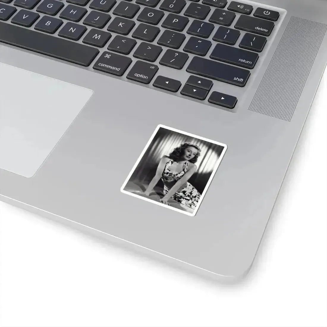 Barbara Stanwyck #193 (Vintage Female Icon) STICKER Vinyl Kiss-Cut Decal - The Sticker Space