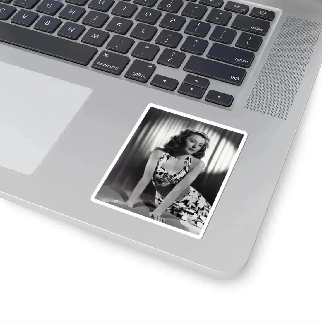 Barbara Stanwyck #193 (Vintage Female Icon) STICKER Vinyl Kiss-Cut Decal - The Sticker Space