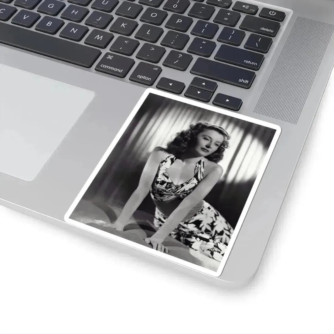 Barbara Stanwyck #193 (Vintage Female Icon) STICKER Vinyl Kiss-Cut Decal - The Sticker Space