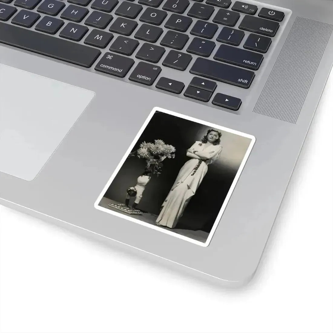 Barbara Stanwyck #203 (Vintage Female Icon) STICKER Vinyl Kiss-Cut Decal - The Sticker Space