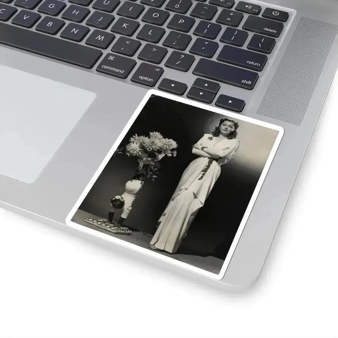 Barbara Stanwyck #203 (Vintage Female Icon) STICKER Vinyl Kiss-Cut Decal - The Sticker Space