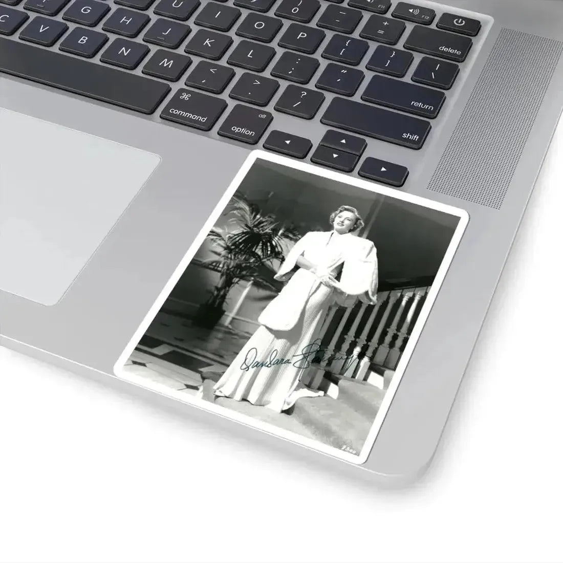 Barbara Stanwyck #48 (Vintage Female Icon) STICKER Vinyl Kiss-Cut Decal - The Sticker Space
