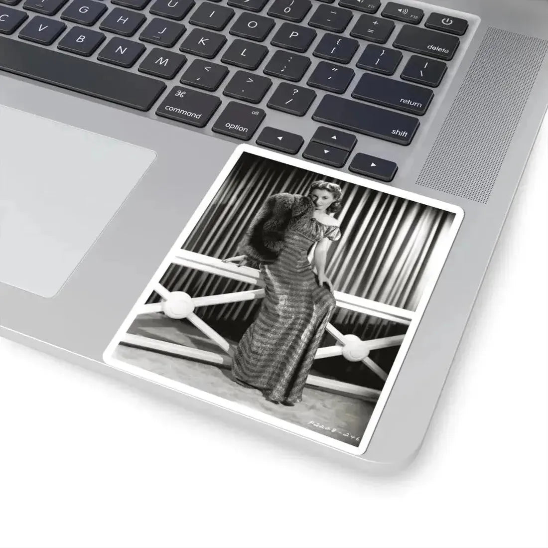 Barbara Stanwyck #65 (Vintage Female Icon) STICKER Vinyl Kiss-Cut Decal - The Sticker Space