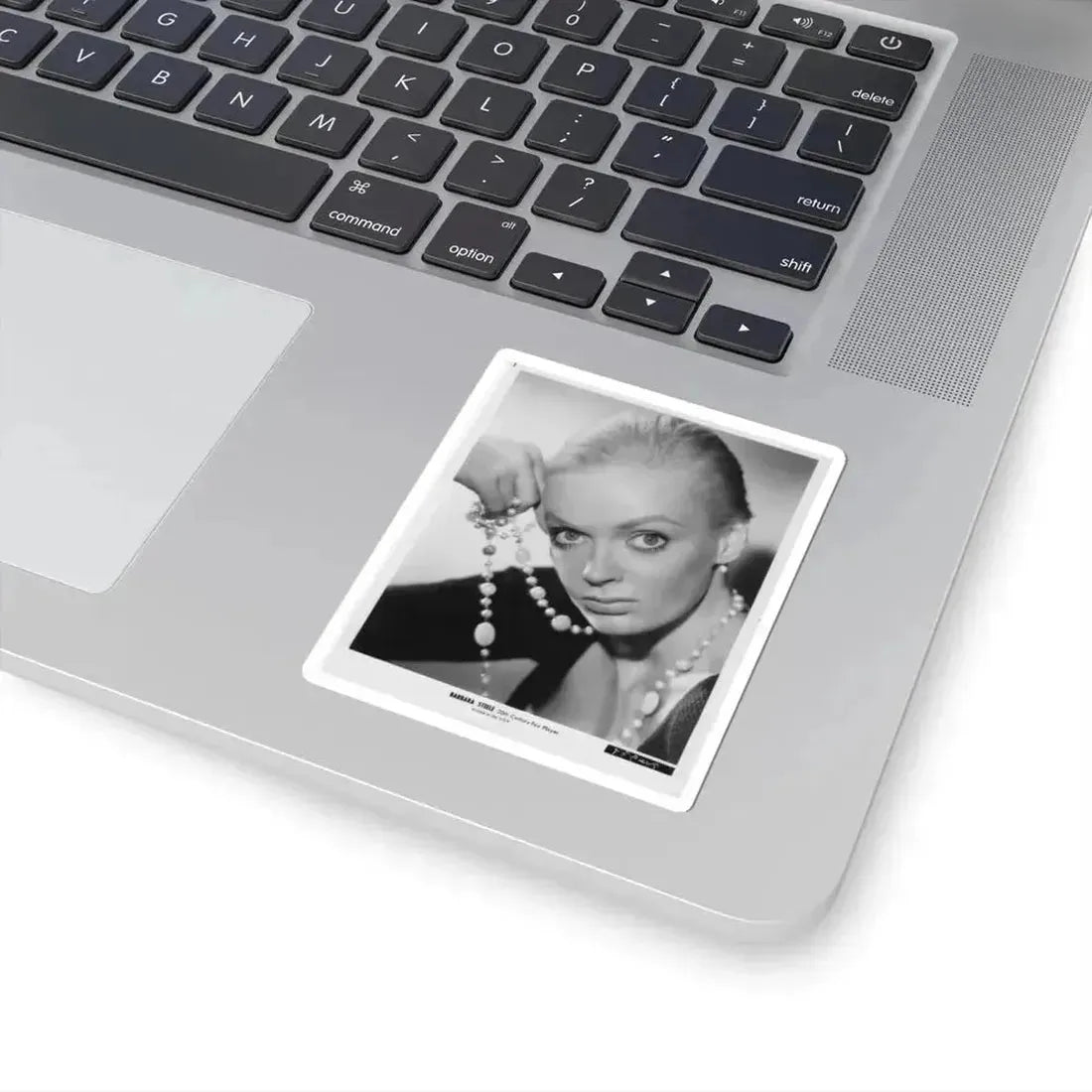 Barbara Steele #30 (Vintage Female Icon) STICKER Vinyl Kiss-Cut Decal - The Sticker Space